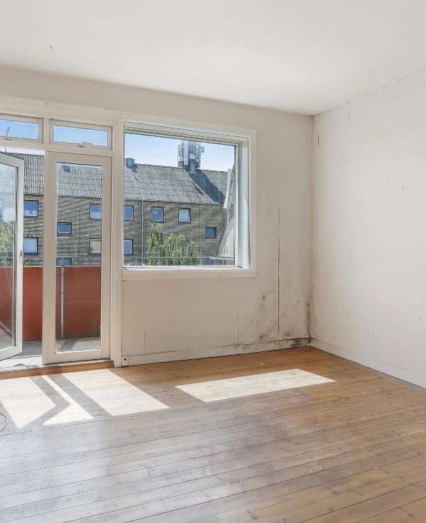 Fjernelse af skimmelsvamp