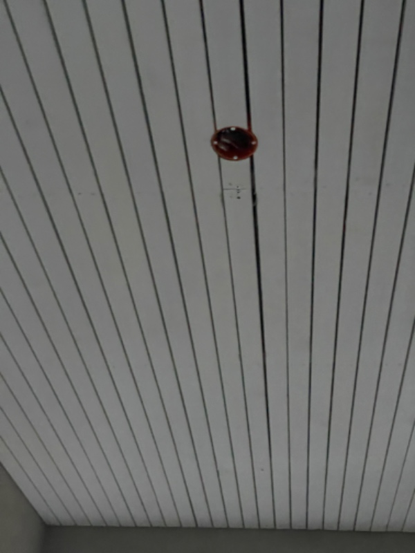 Hængt to udendørs lamper op og skiftet fatning i en indendørs pendel