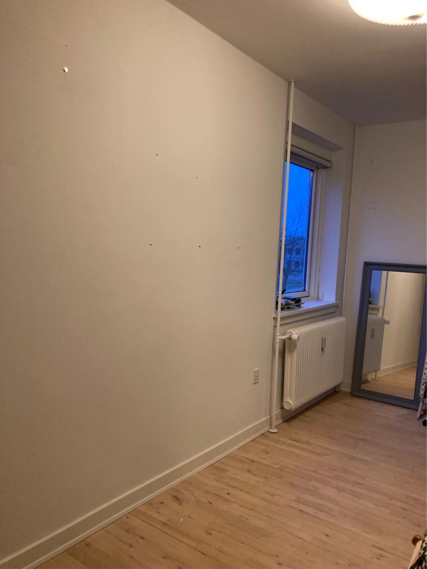 Fjerne skimmelsvamp