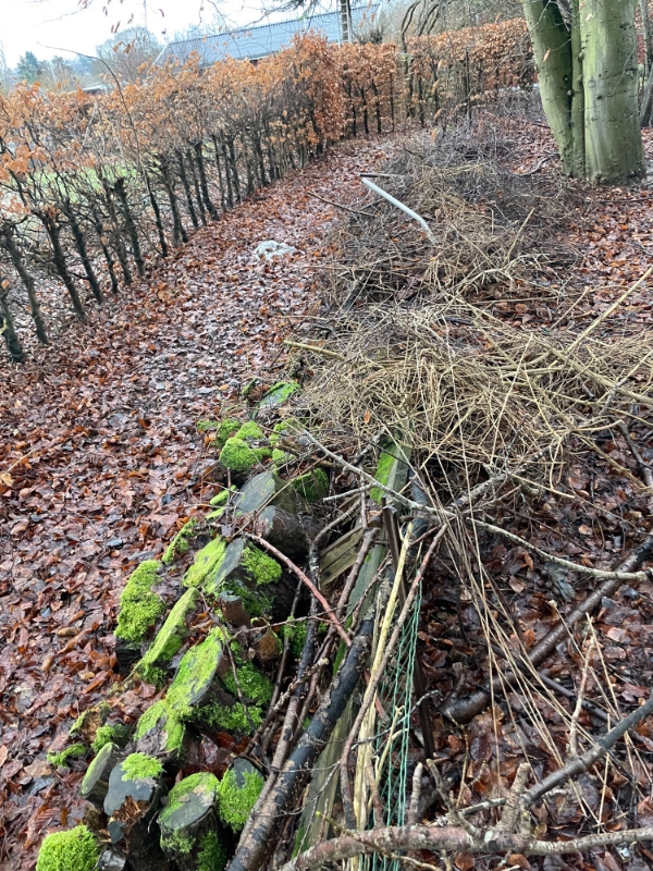 Fjernelse og bortkørsel af haveaffald