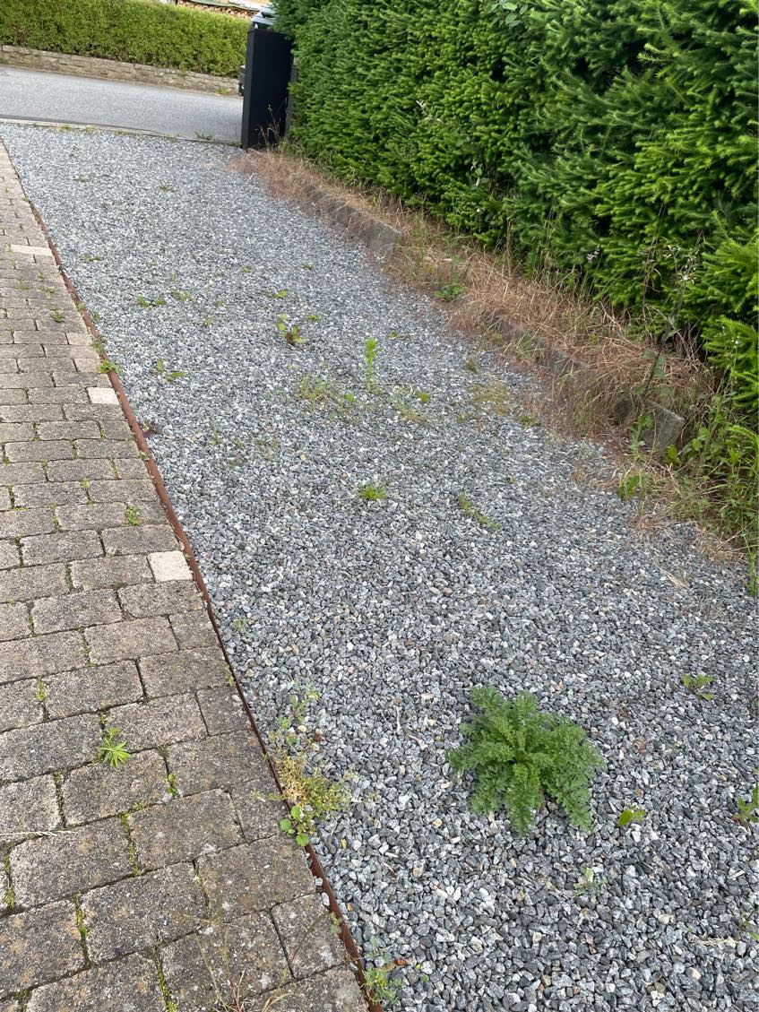 Hjælp til at fjerne ukrudt i indkørslen