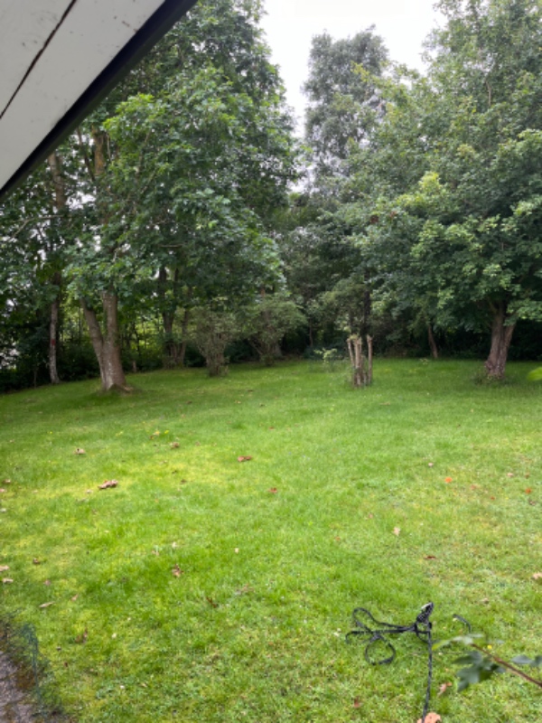Græsslåning af sommerhusgrund i Hønsinge Lyng