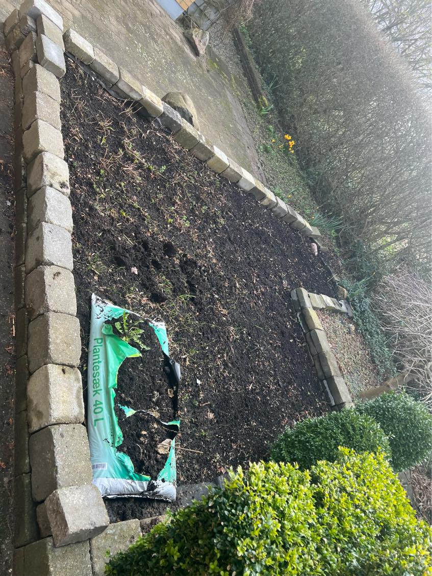 Klipning af hække, og æbletræer. Hjælp til ændring i haven