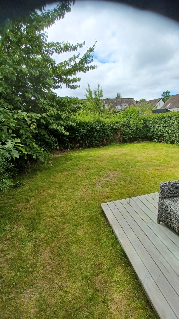 Hækklipning og haveaffaldssamling