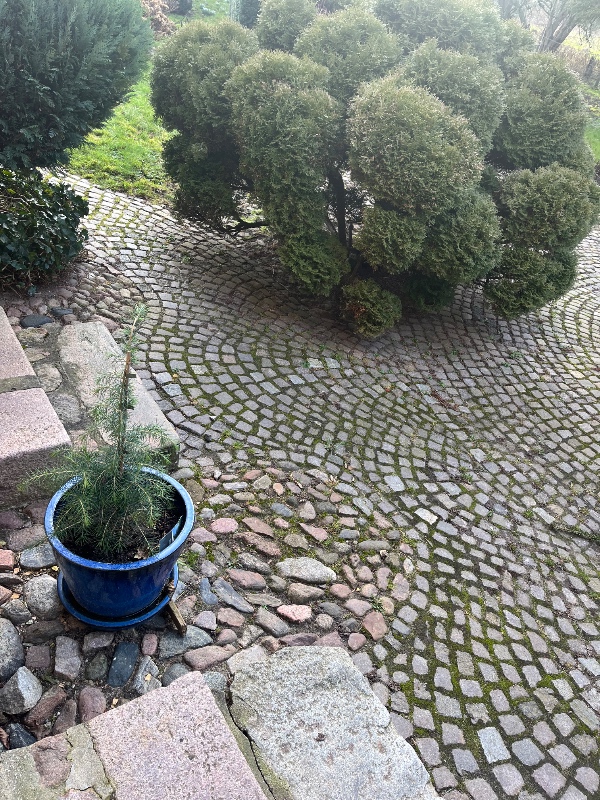 Oprensning af brostensterrasse