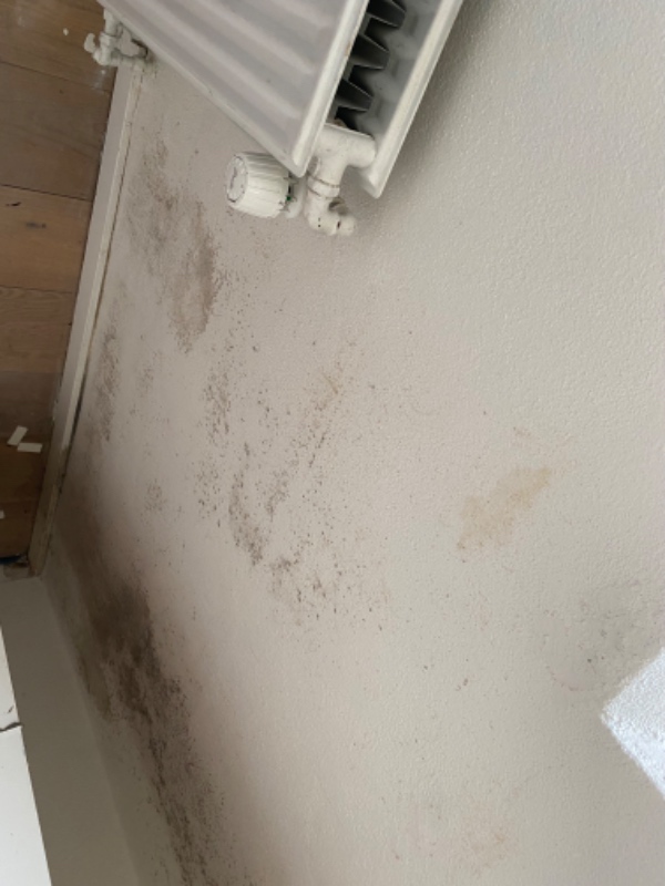 Pudsning af murværk hvor der har været fugt