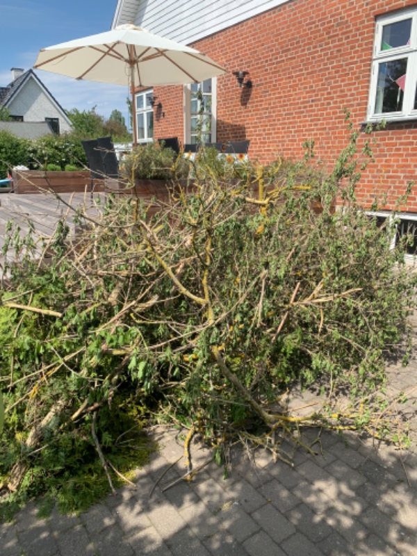 Bortskaffelse af haveaffald