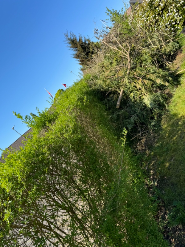 Haveaffaldsafhentning i Kolding