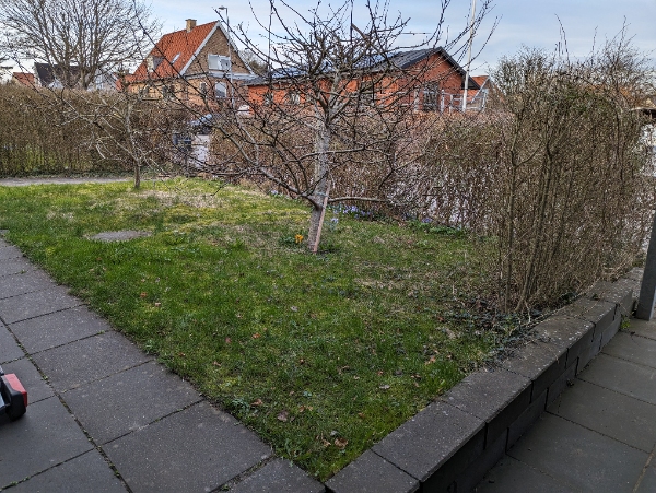 Hækfjerning og stensætning