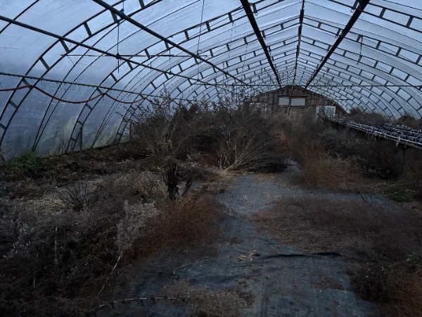 Oprydning af drivhus