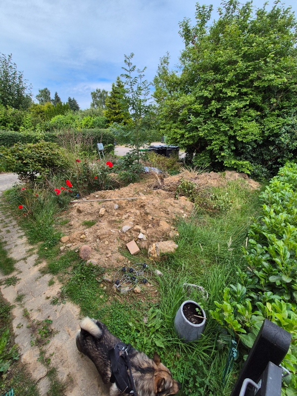 Etablering af indkørsel