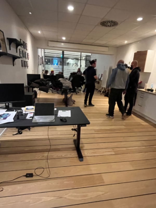 Rengøring og stort glasparti/vinduespudsning