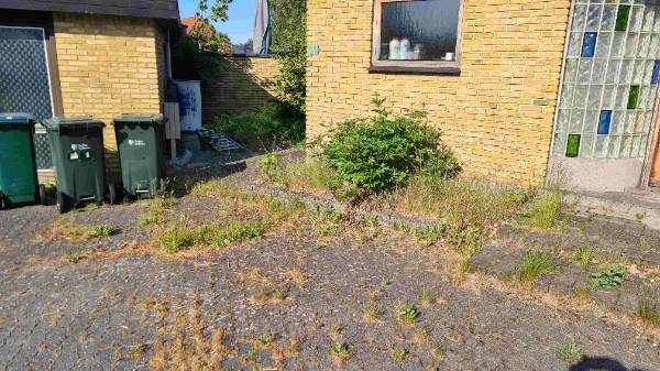 fjerne ukrudt og klippe hæk