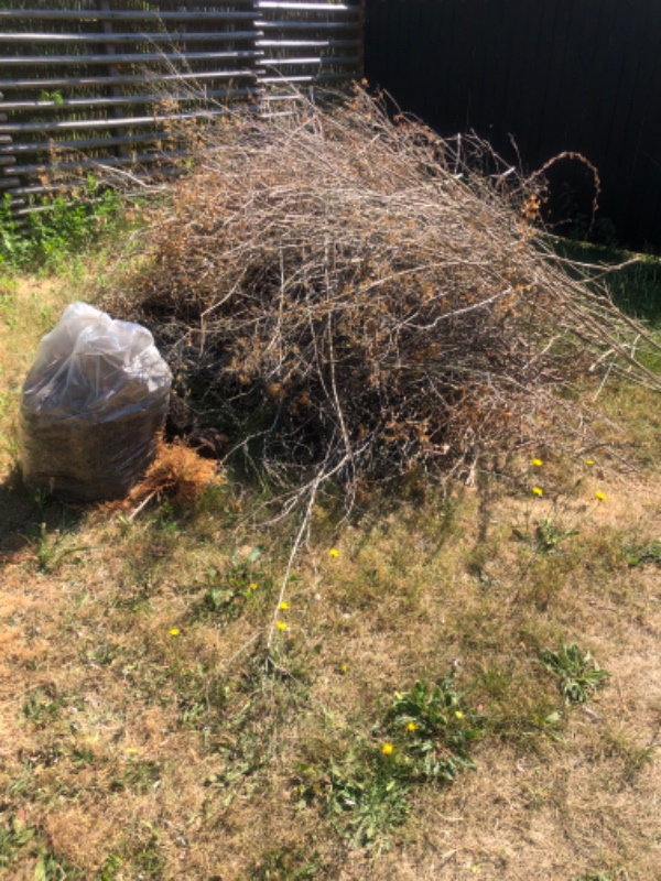 Jeg har brug for at få fjernet noget haveaffald, der ligger i indkørslen.