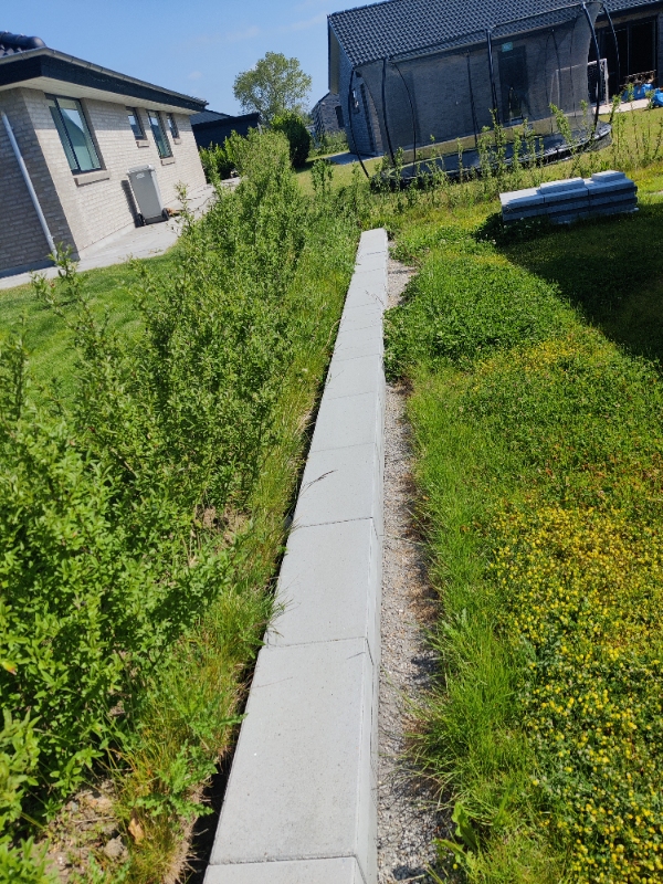 Ukrudt under hækken