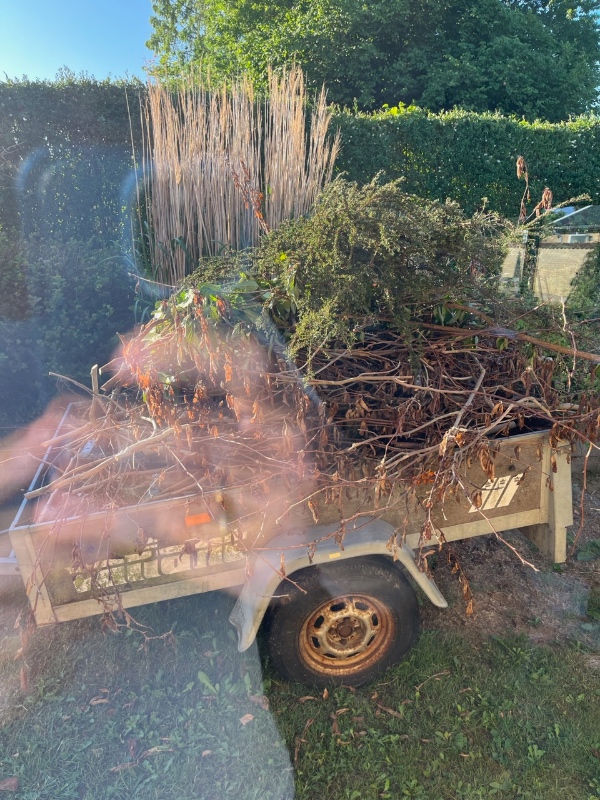 Fjernet alt haveaffald