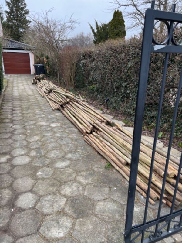 Fjernelse af raftehegn