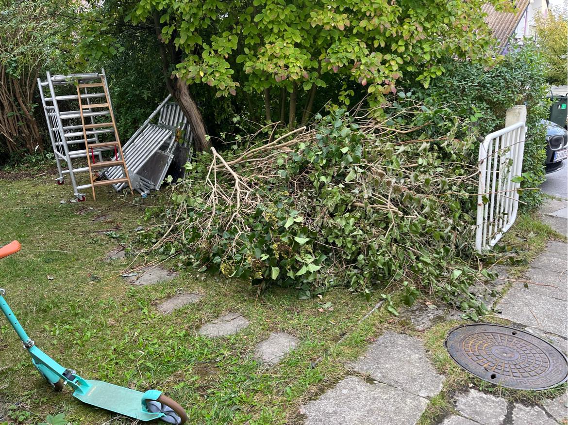 Bortkørsel af grene