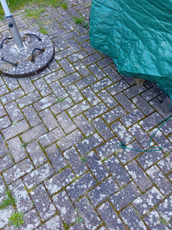 Havearbejde og fliser i haven