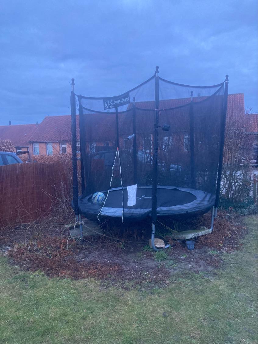 Fjerne rødder under jorden fra buske