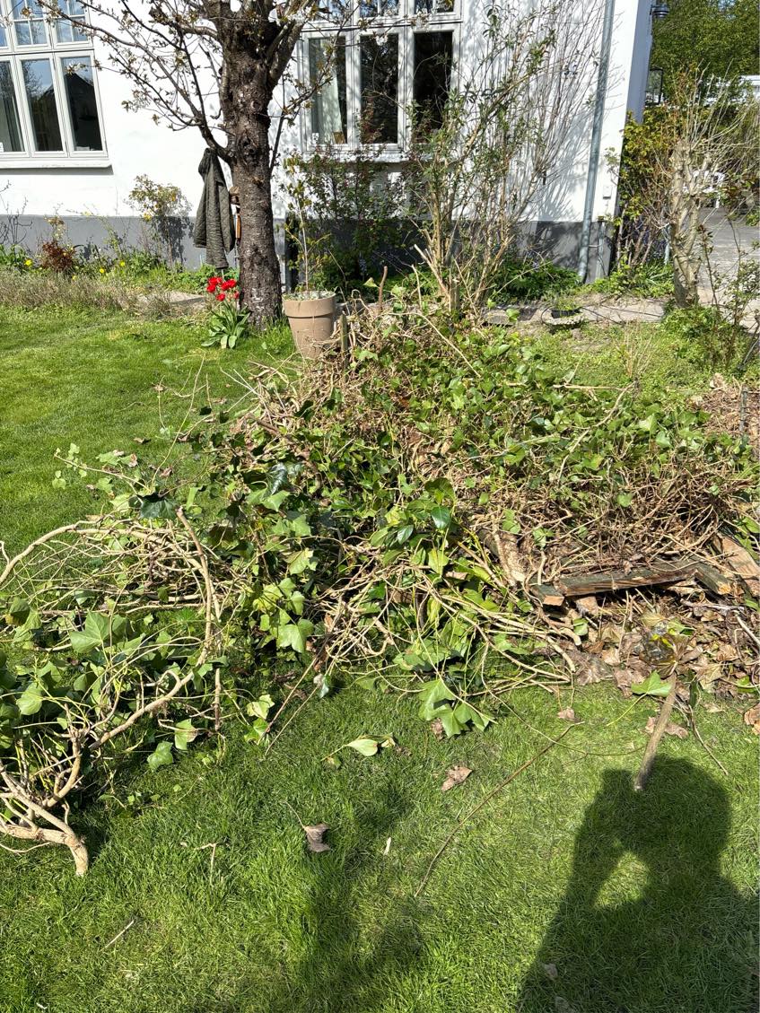 Afhentning haveaffald