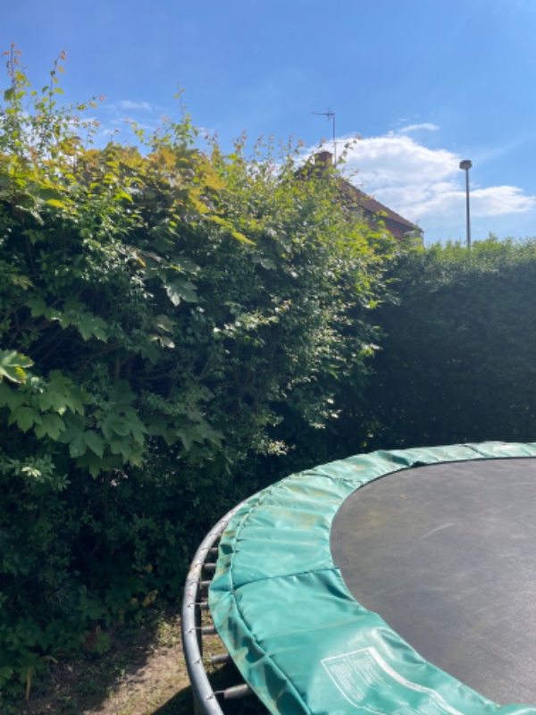 Nedgravning af trampolin og hækfjernelse