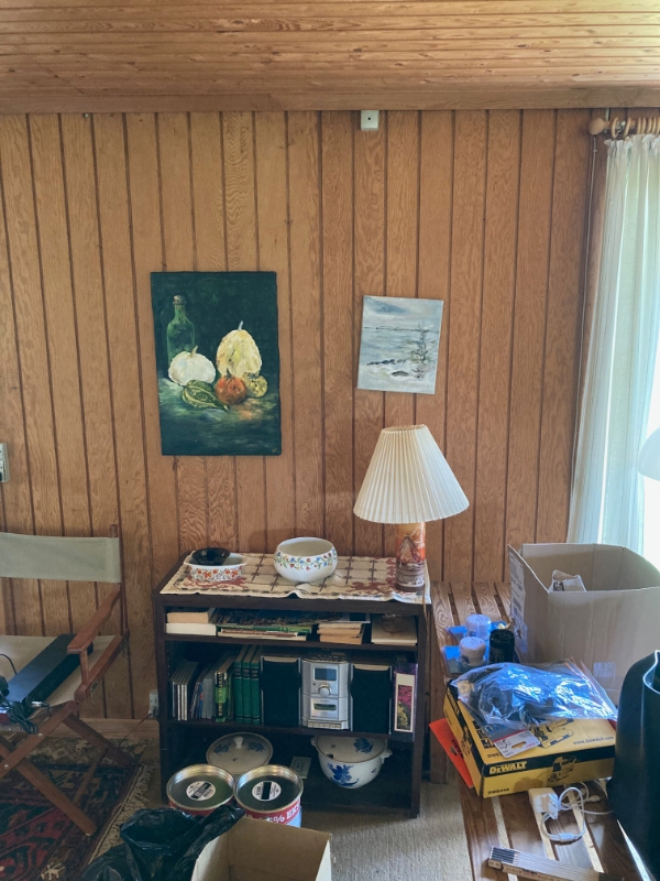 montering af brændeovn og skorsten