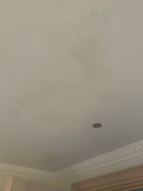 maling af loft i vådrum (badeværelse) ca. 10m2