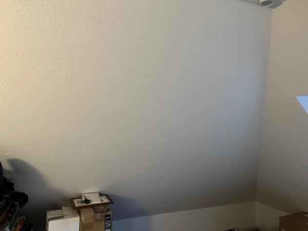 Listetræ på vægge og loft