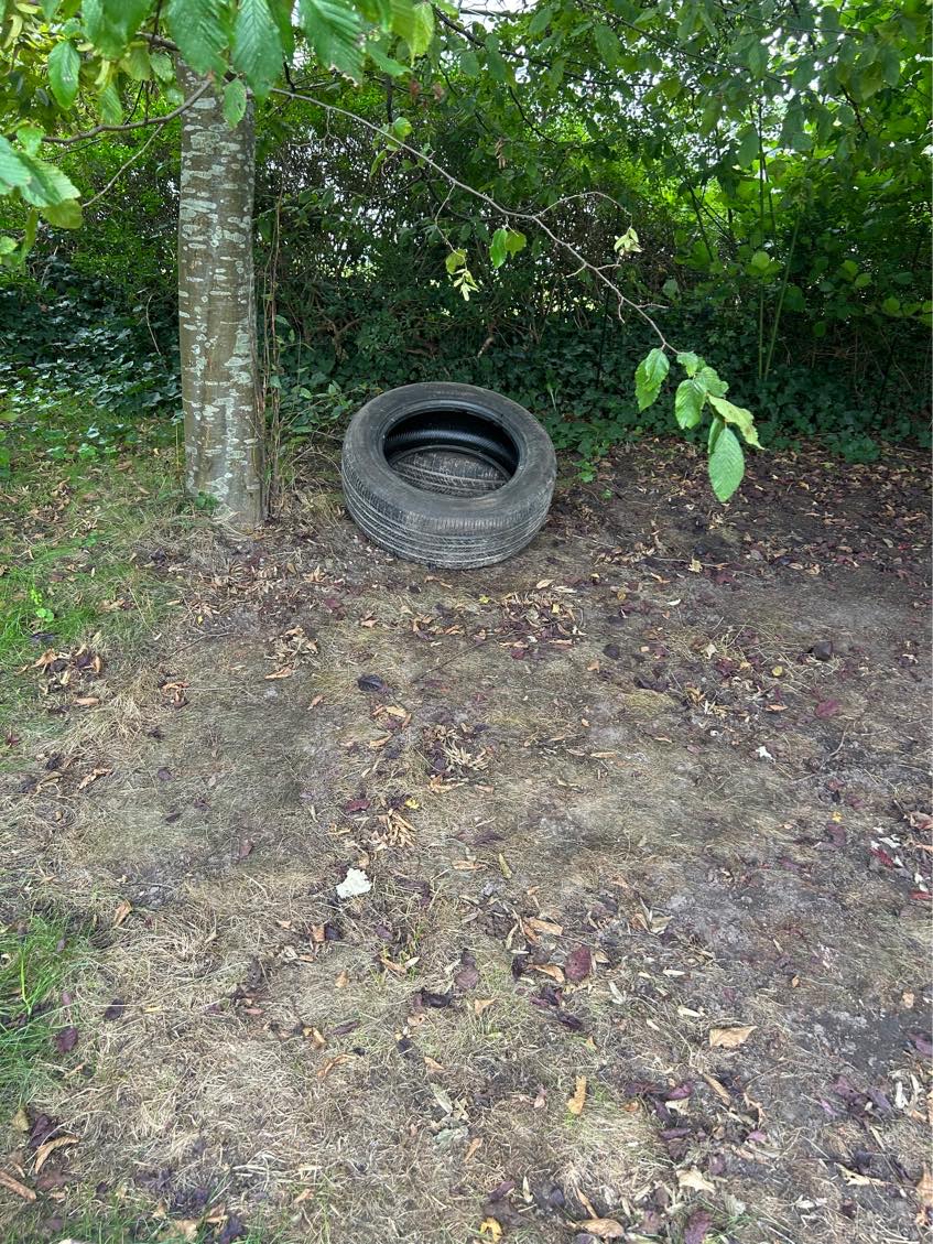 Hjælp til at fjerne nogle sager fra privat grund på amager