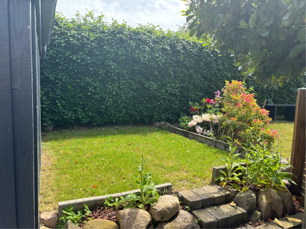 Klippet hæk + kørt det væk