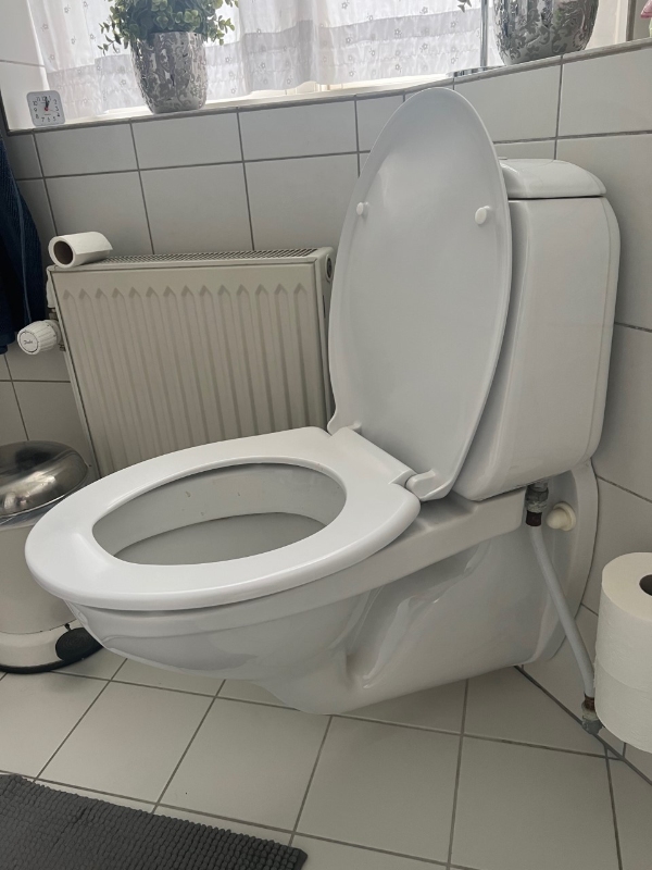 Udskiftning af 2 Gustavberg WC - er hjemkøbt.