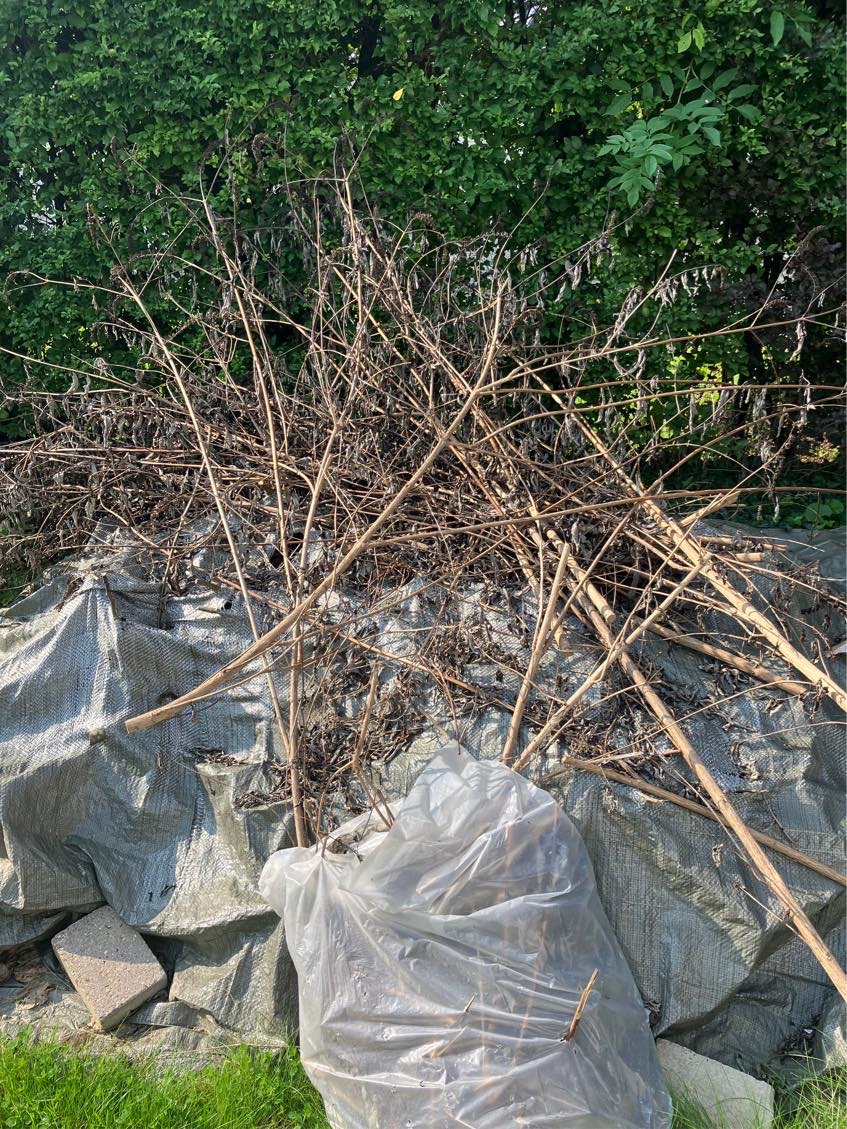 Hjælp til at fjerne nogle sager