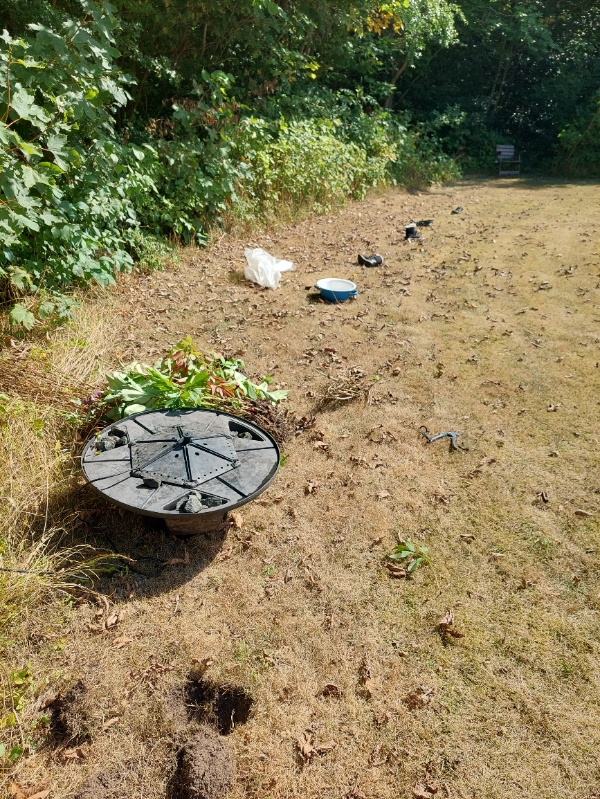 Grave 10 huller til planter/bærbuske i græsplæne