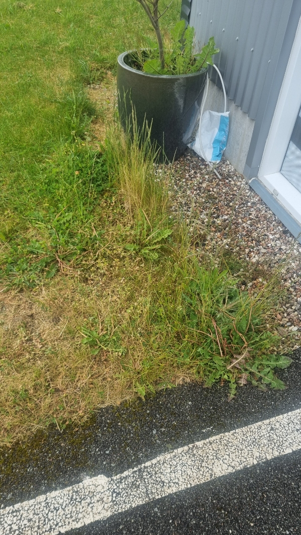 Fjern ukrudt og slå græs