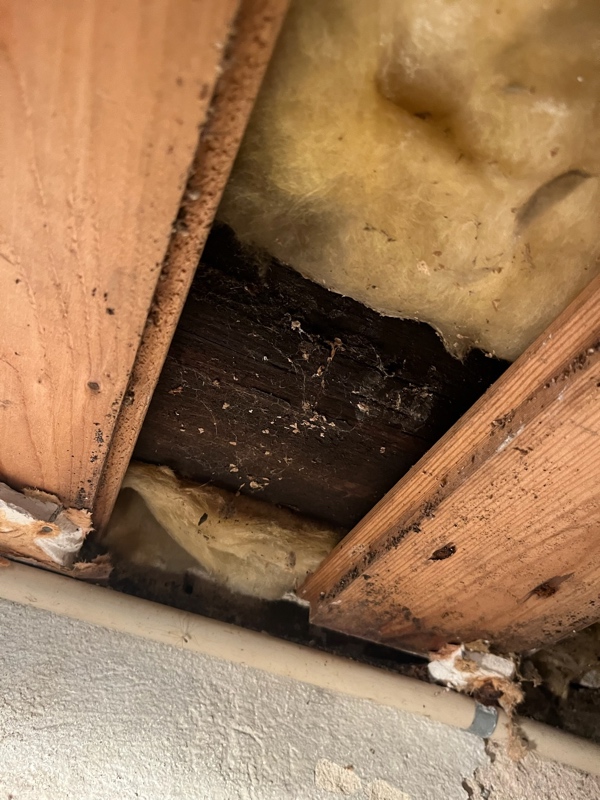 etablering af omfangsdræn i 60er parcelhus med nedgravet kælder