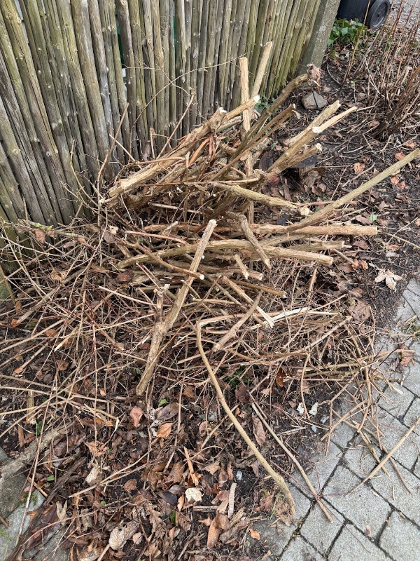 Bortskaffelse af diverse affald