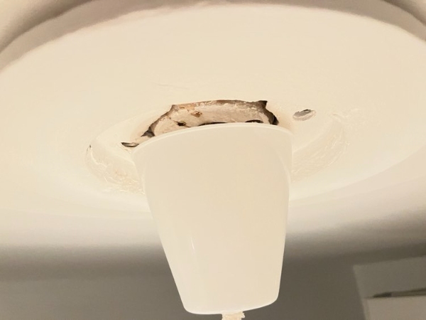 Lampeudtag + loftroset