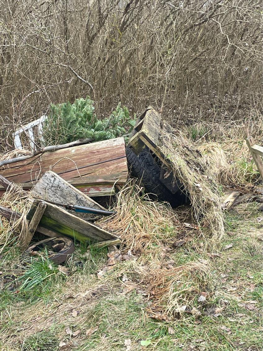 Klippet / beskåret tilgroet grund ifm salg