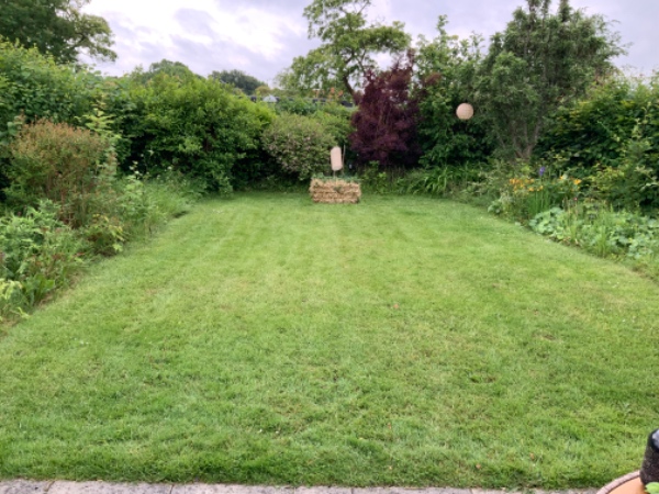 Ukrudtsfjerning og affaldshåndtering