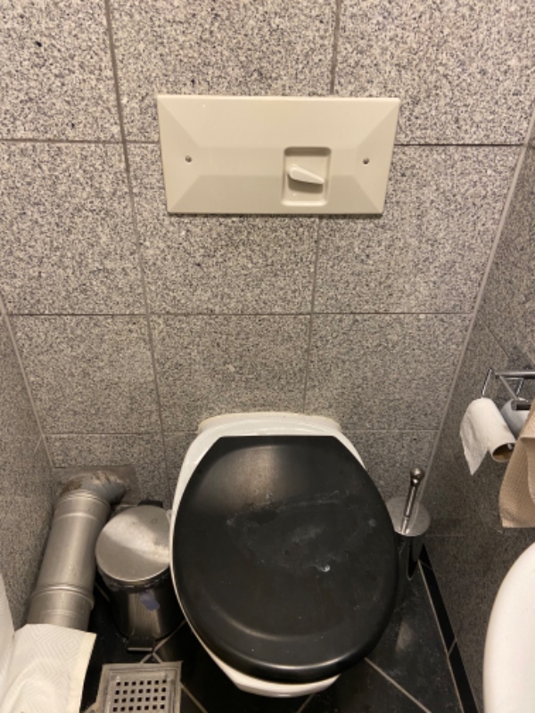 Reparation og udskiftning af toilet