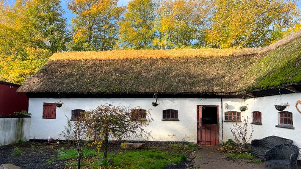 Hvitning af stråtækt gård