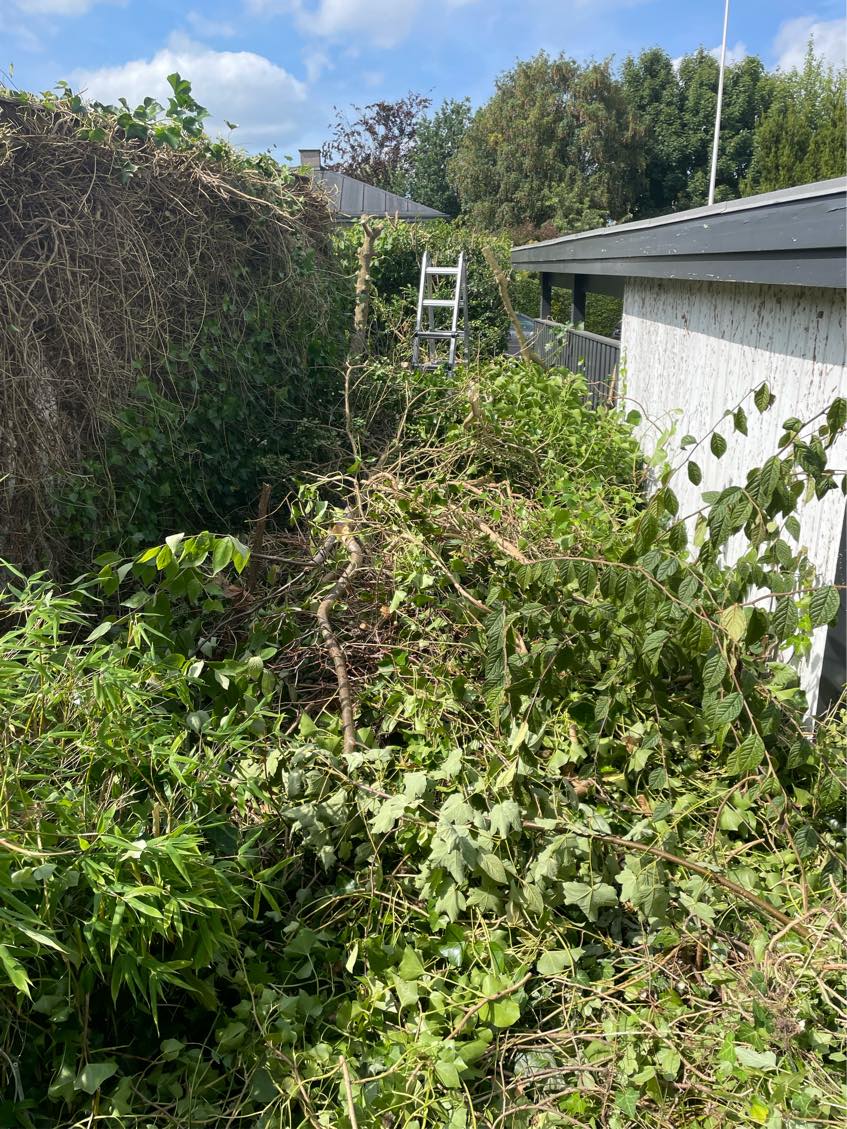 Haveaffald til genbrugspladsen