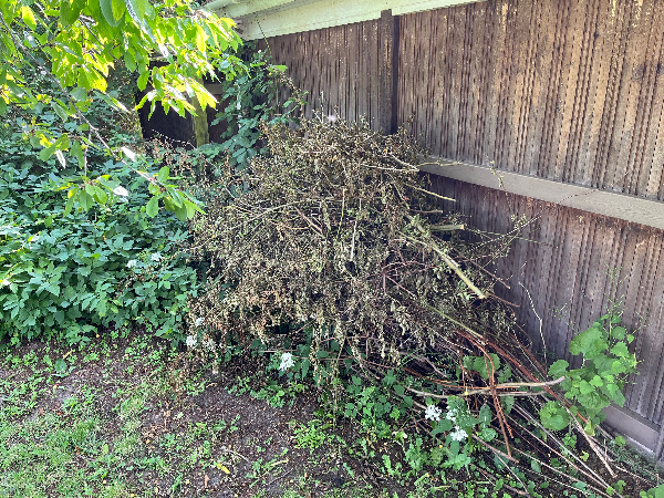 Bortkørsel af haveaffald og grill