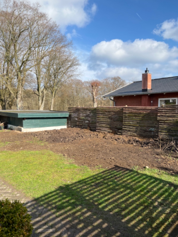 Etablering af græsplæne