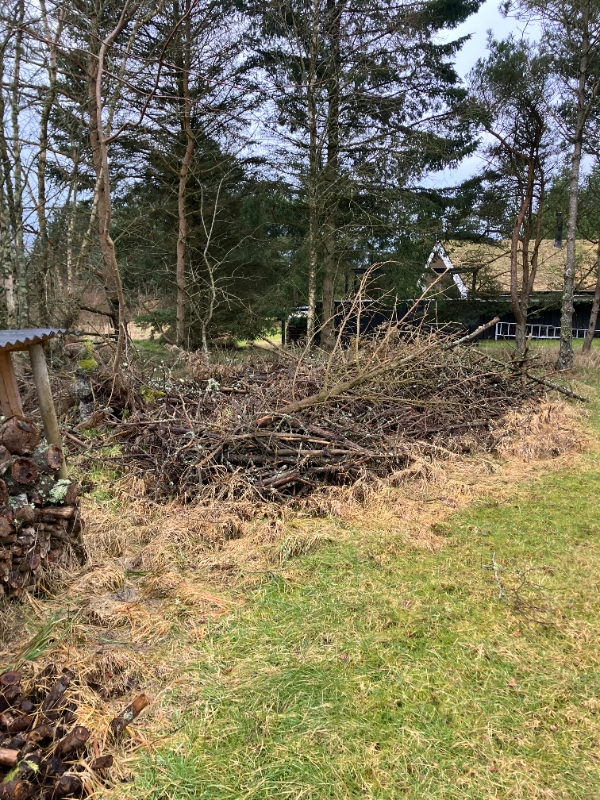 Jeg skal have fræset et stykke have med en del buske/rødder ca 12m x 6m evt. også fjernet grene fra træer som er fældet(ca 4-5 læs på en alminde privat trailer)