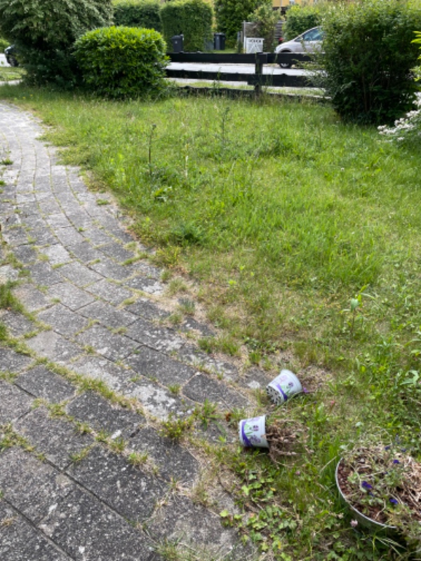 Slå græs og luge bed