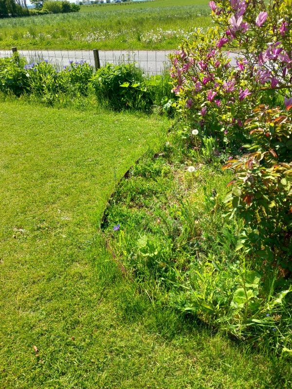 Staudebedlugning og hækklipning