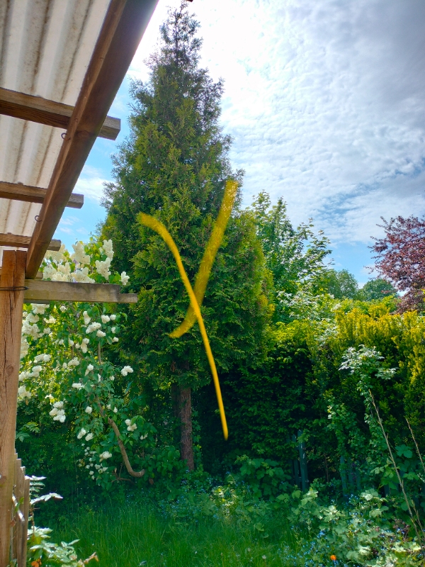 Træfældning og rodfræsning tilbud