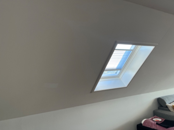 Udskiftning og montage af Velux